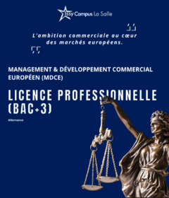 Aperçu document 26_ISSYCAMPUSLASALLE_PLAQUETTE_LICENCE_DROIT_ALTERNANCE