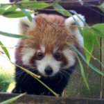 Forum des métiers : découvrir, échanger, s&rsquo;orienter